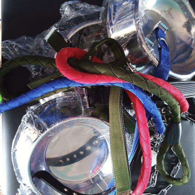 Pet bowls, leashes, and collars available at the clinic store